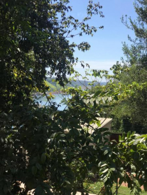 Casa particular Bed & Breakfast Iguazu